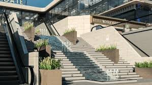 wealth plus development