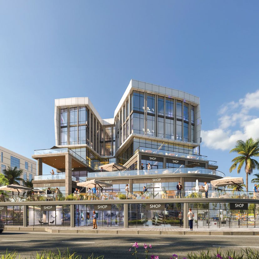 wealth plus development