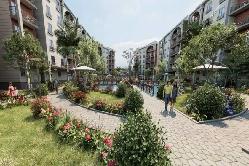 PLDG Developments