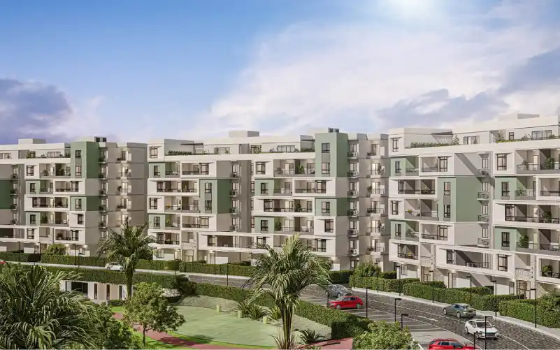 Rock Developments